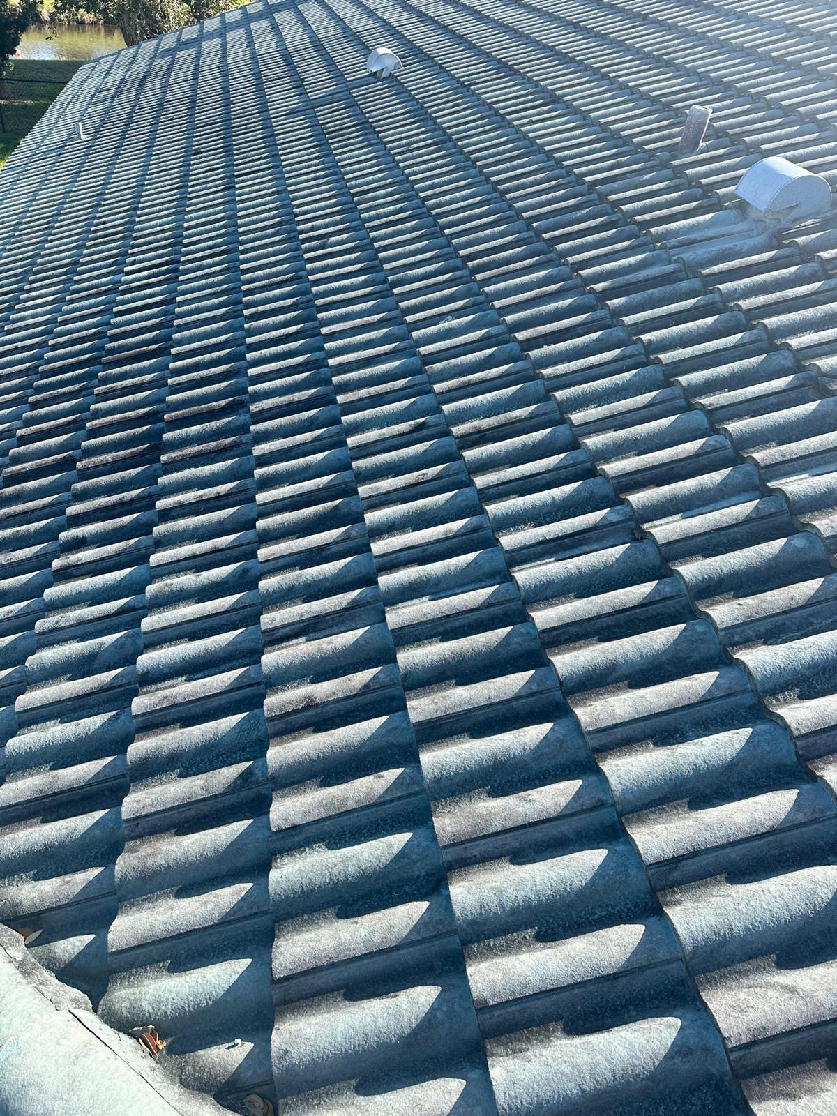Roof before painting